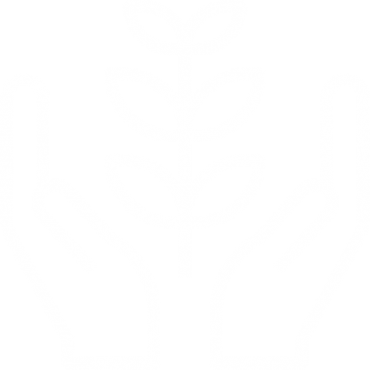 Transformative Core Healing